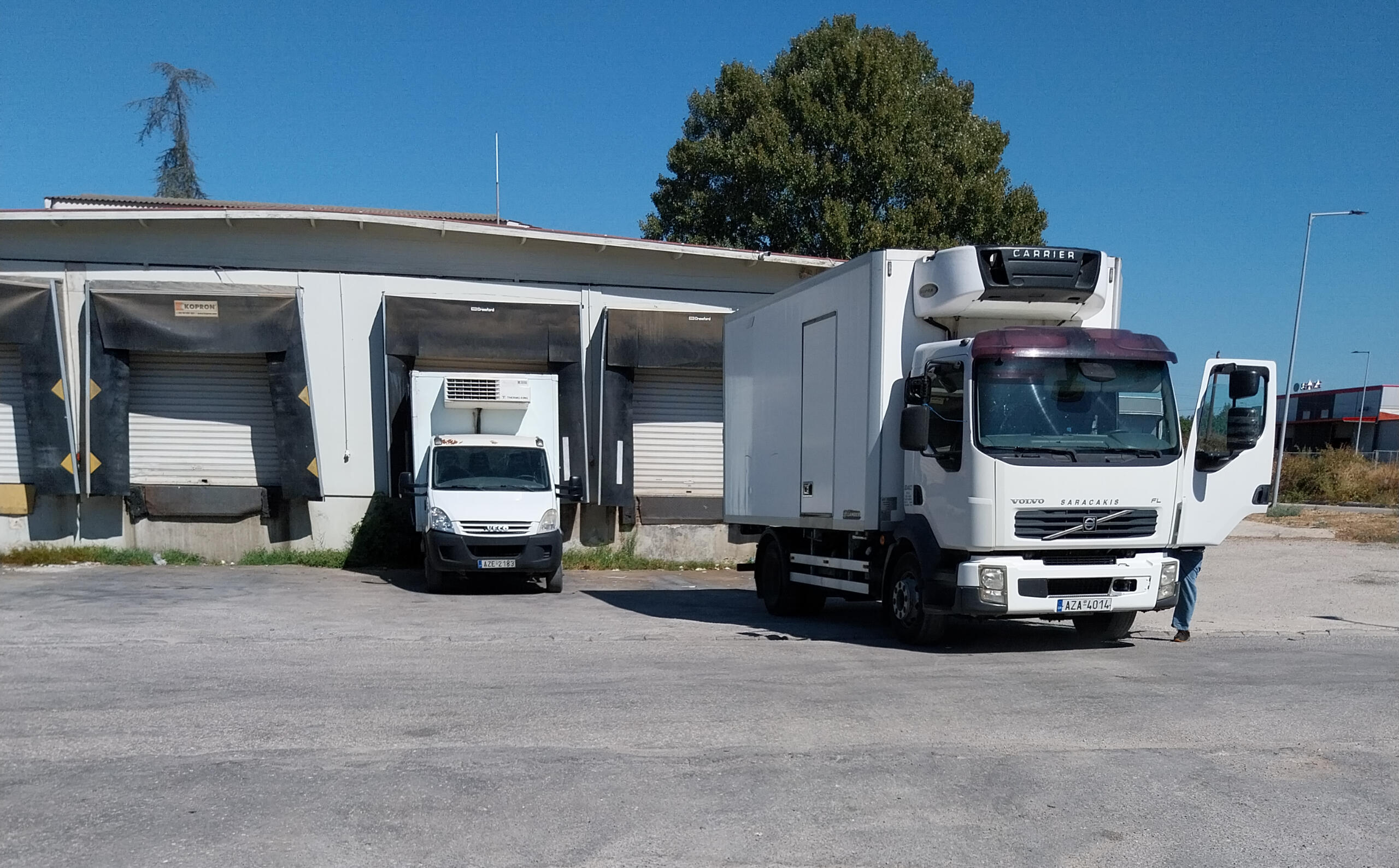 Χονδρικο εμποριο χοιρινού κρεατος, Αγορά Κρέατος. Καλές τιμές- Άριστη ποιότητα