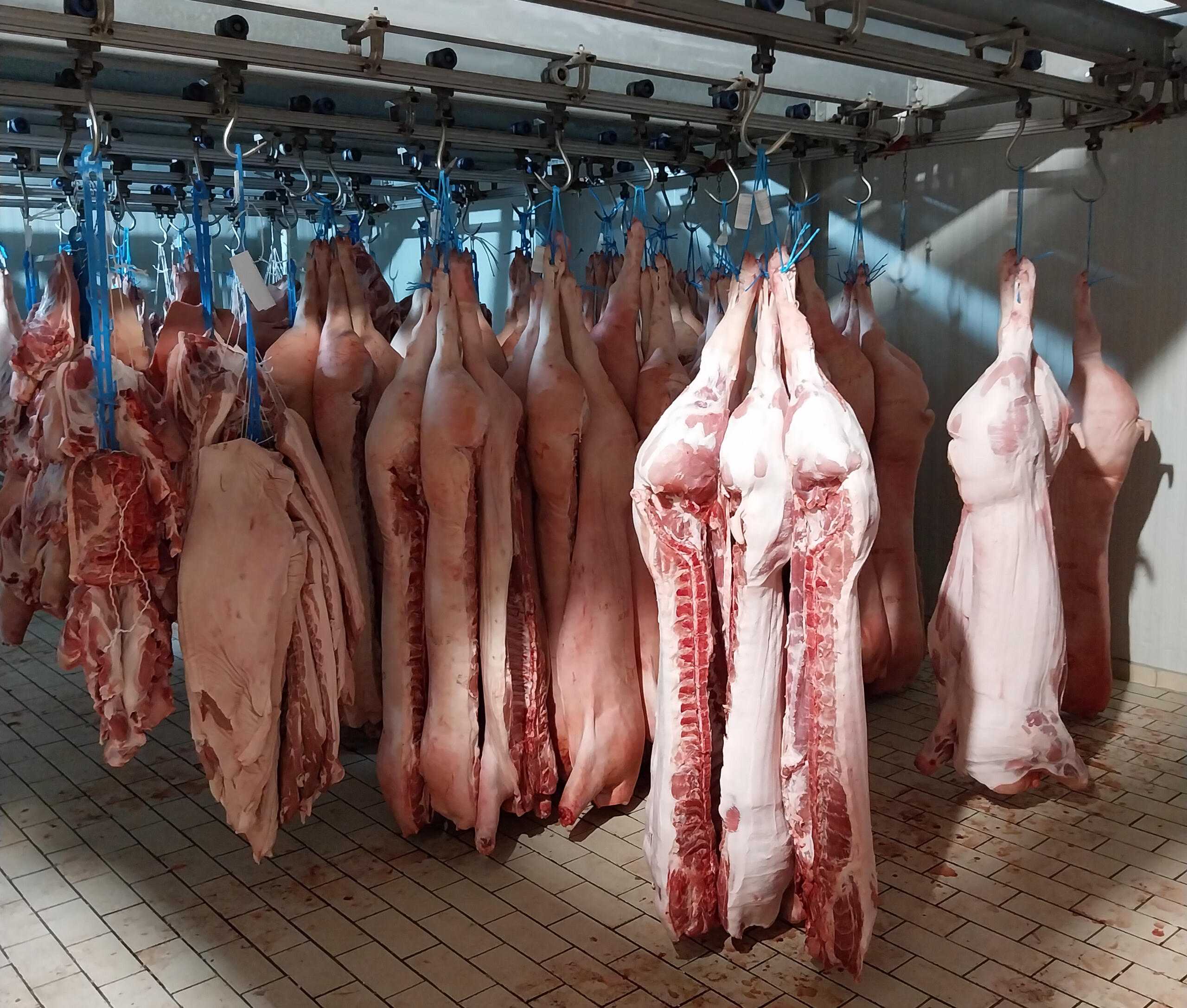 Χονδρικο εμποριο χοιρινού κρεατος, Αγορά Κρέατος. Καλές τιμές- Άριστη ποιότητα