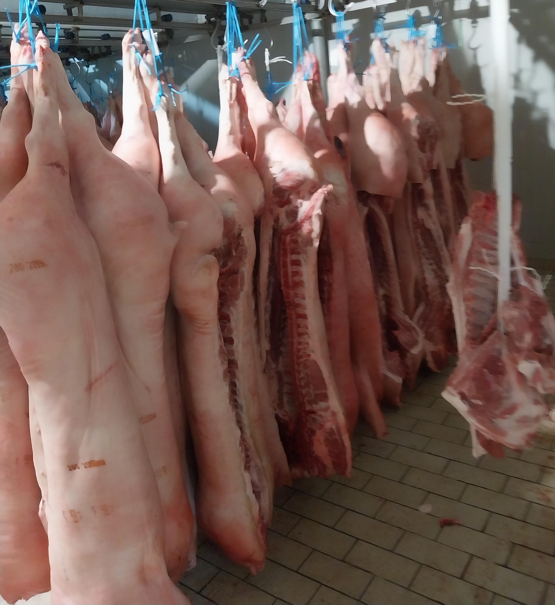 Χονδρικο εμποριο χοιρινού κρεατος, Αγορά Κρέατος. Καλές τιμές- Άριστη ποιότητα