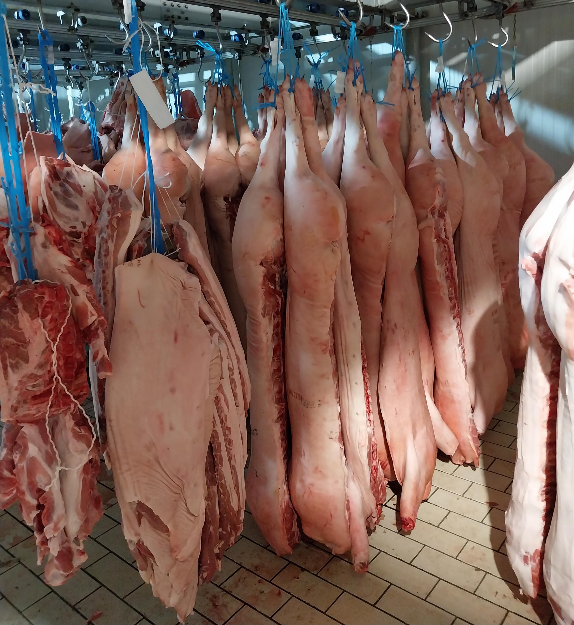 Χονδρικο εμποριο χοιρινού κρεατος, Αγορά Κρέατος. Καλές τιμές- Άριστη ποιότητα