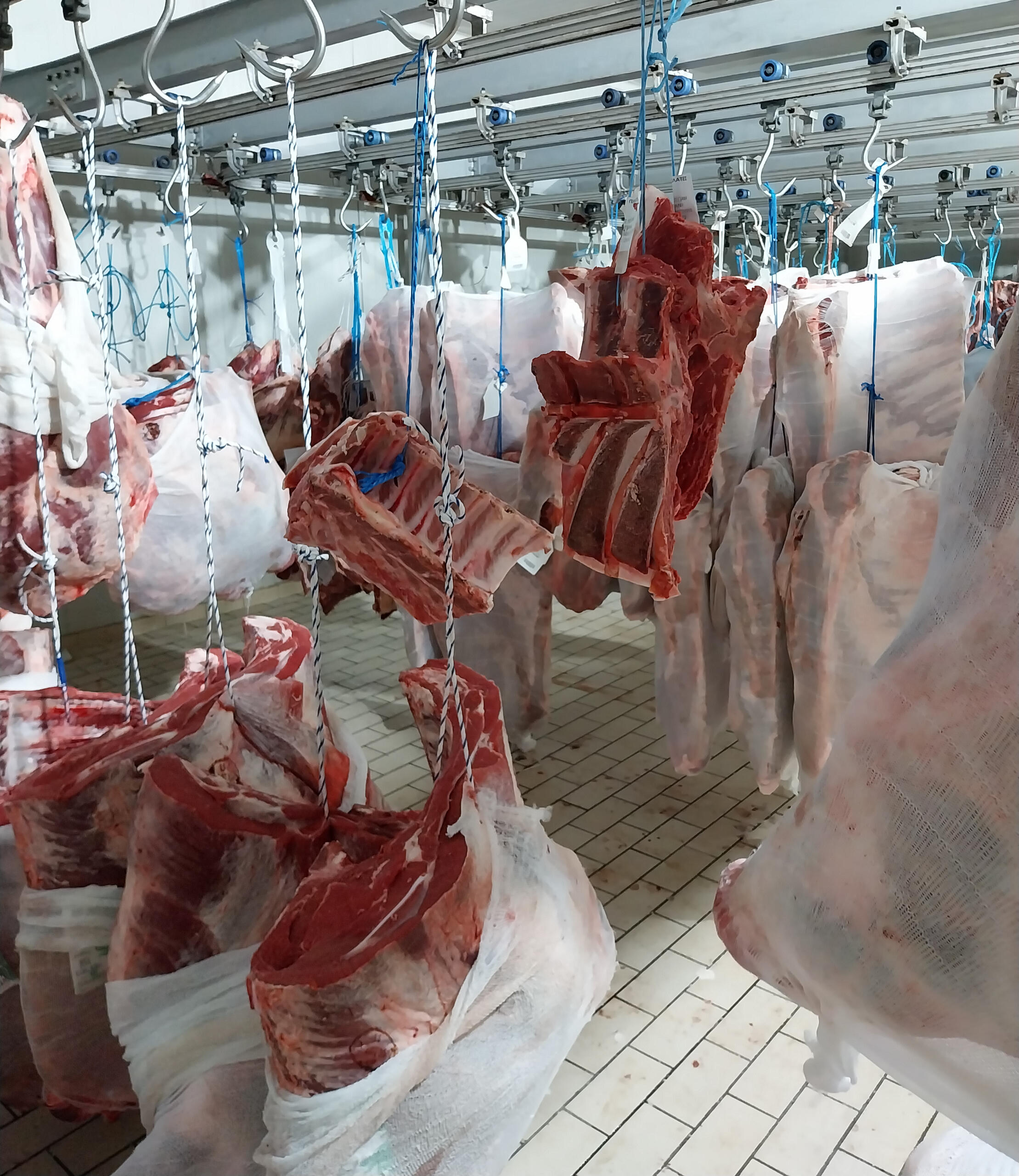 Αγορά Κρεάτων Δυτικής Ελλάδας Χονδρικο εμποριο χοιρινού κρεατος, Αγορά Κρέατος. Καλές τιμές- Άριστη ποιότητα