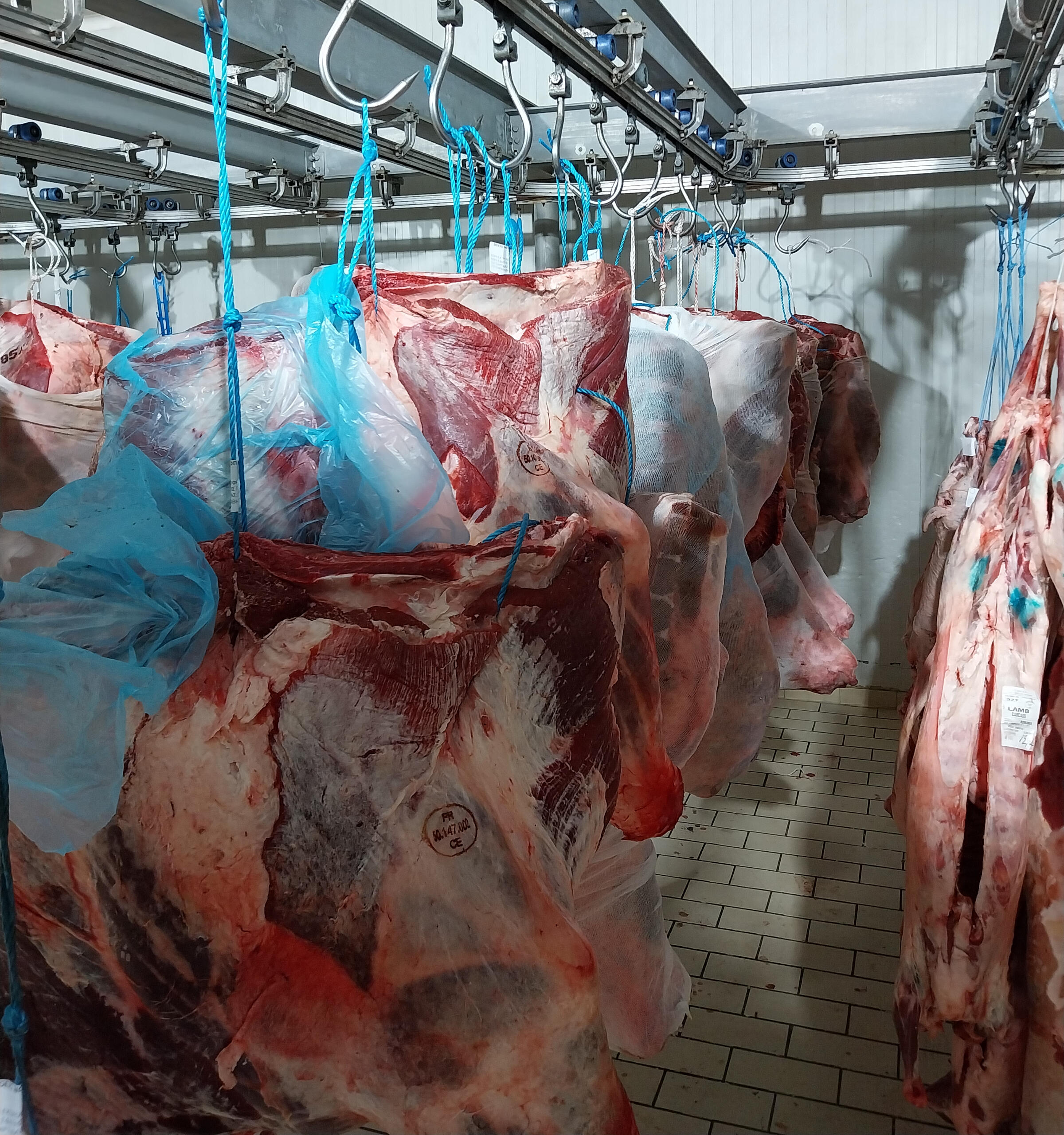 Χονδρικο εμποριο χοιρινού κρεατος, Αγορά Κρέατος. Καλές τιμές- Άριστη ποιότητα