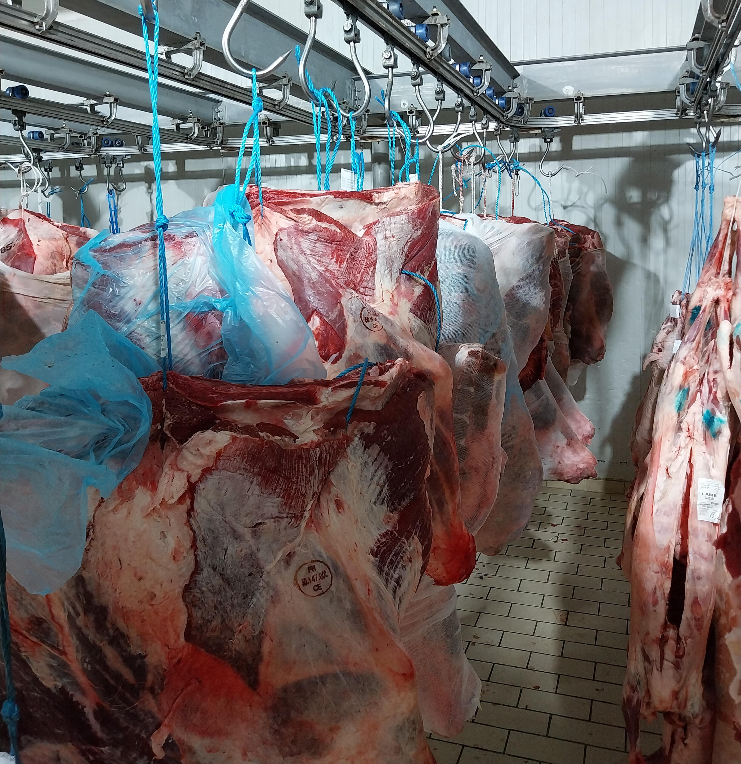 Χονδρικο εμποριο χοιρινού κρεατος, Αγορά Κρέατος. Καλές τιμές- Άριστη ποιότητα