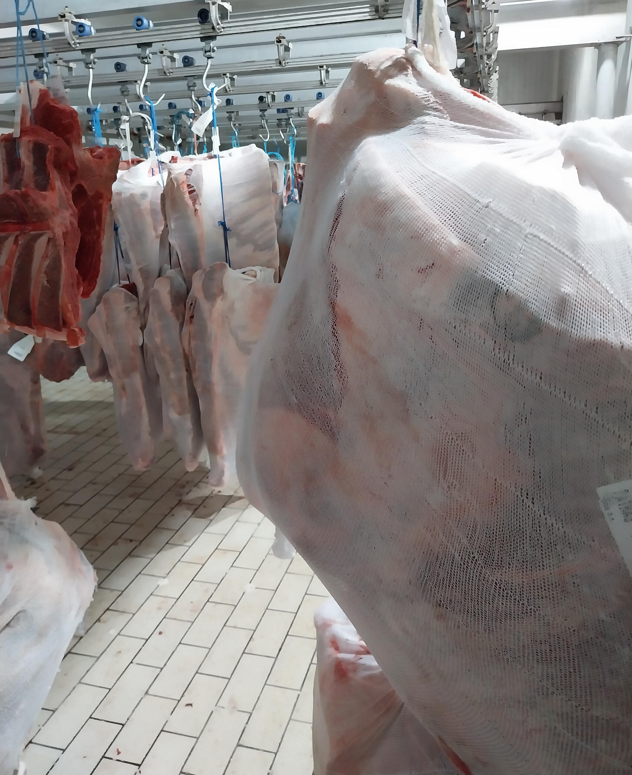 Χονδρικο εμποριο χοιρινού κρεατος, Αγορά Κρέατος. Καλές τιμές- Άριστη ποιότητα