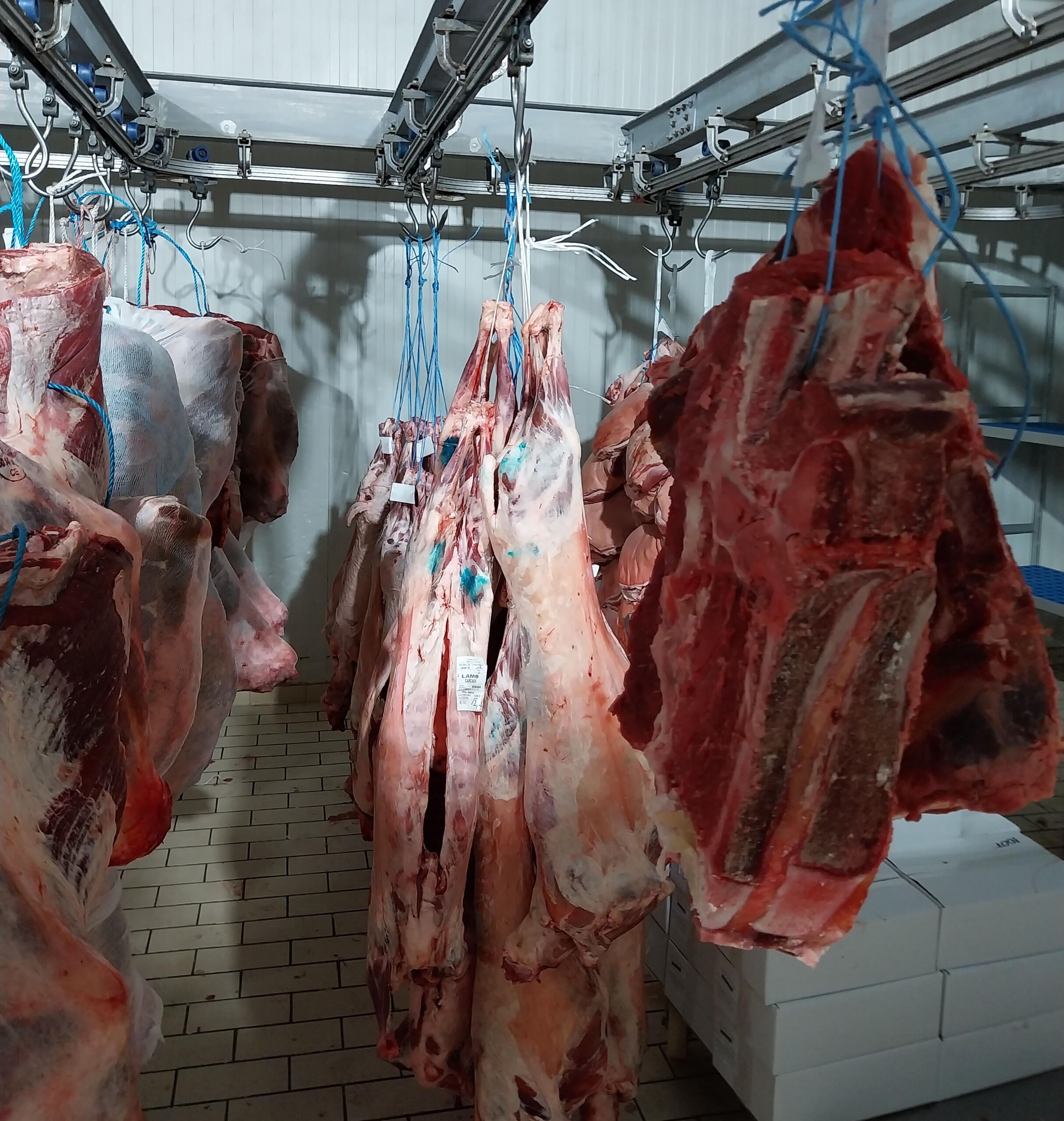 Χονδρικο εμποριο χοιρινού κρεατος, Αγορά Κρέατος. Καλές τιμές- Άριστη ποιότητα