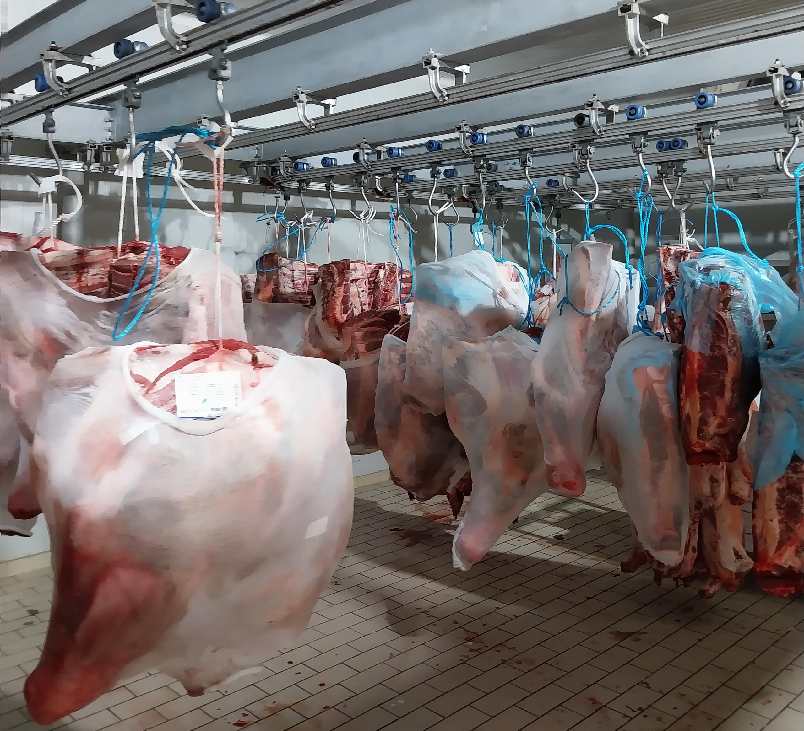 Χονδρικο εμποριο χοιρινού κρεατος, Αγορά Κρέατος. Καλές τιμές- Άριστη ποιότητα