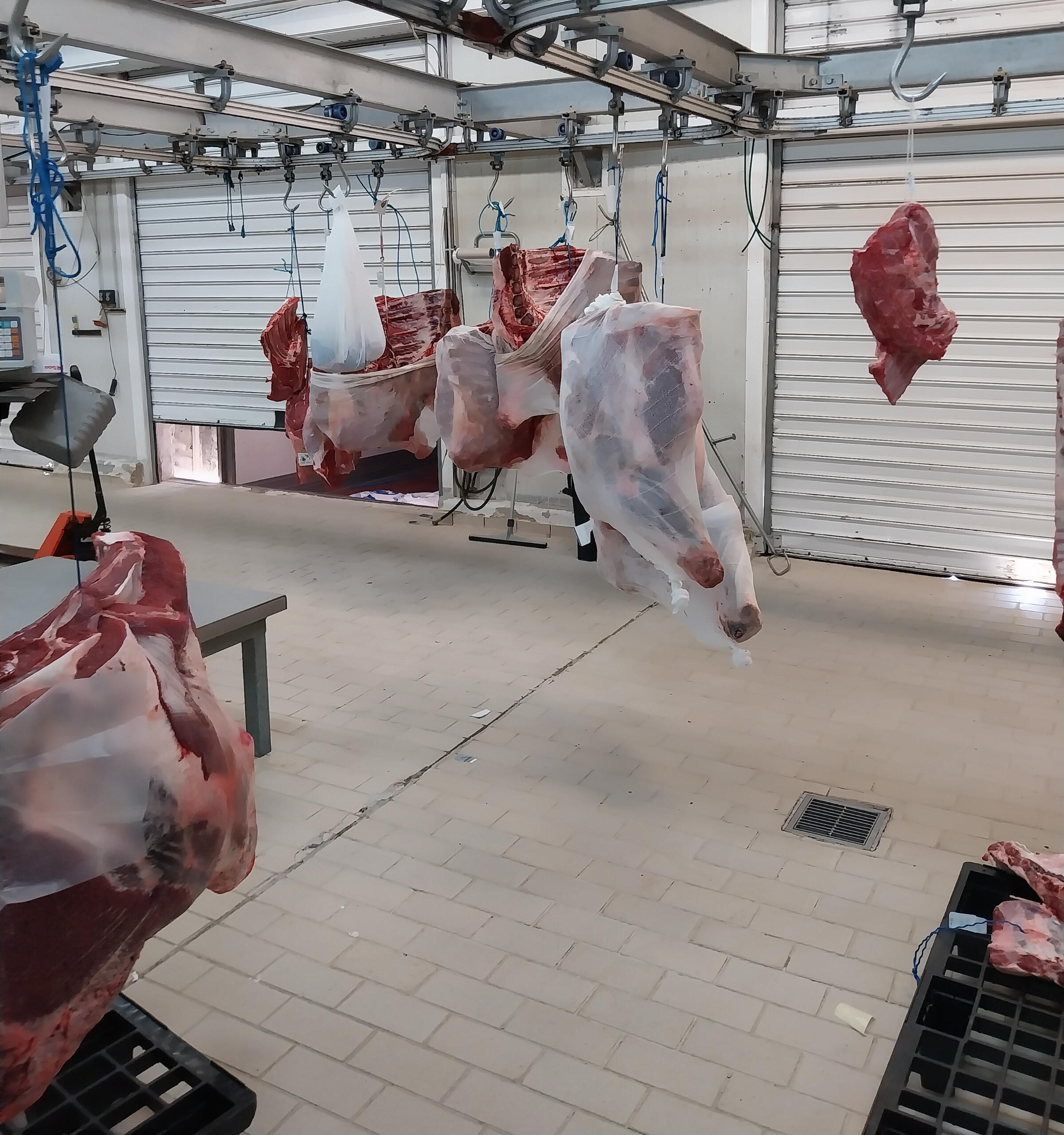 Χονδρικο εμποριο χοιρινού κρεατος, Αγορά Κρέατος. Καλές τιμές- Άριστη ποιότητα