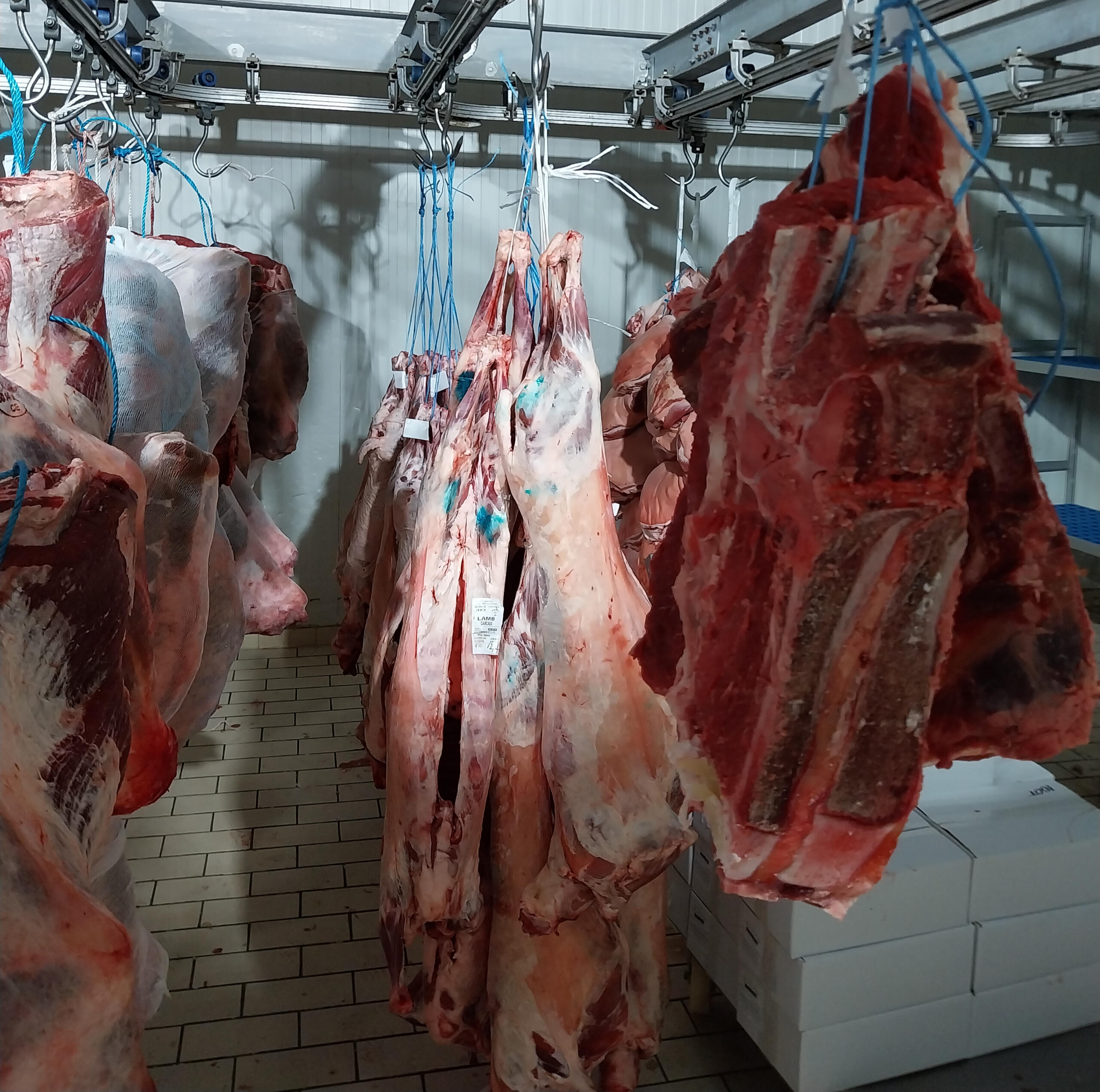 Χονδρικο εμποριο χοιρινού κρεατος, Αγορά Κρέατος. Καλές τιμές- Άριστη ποιότητα