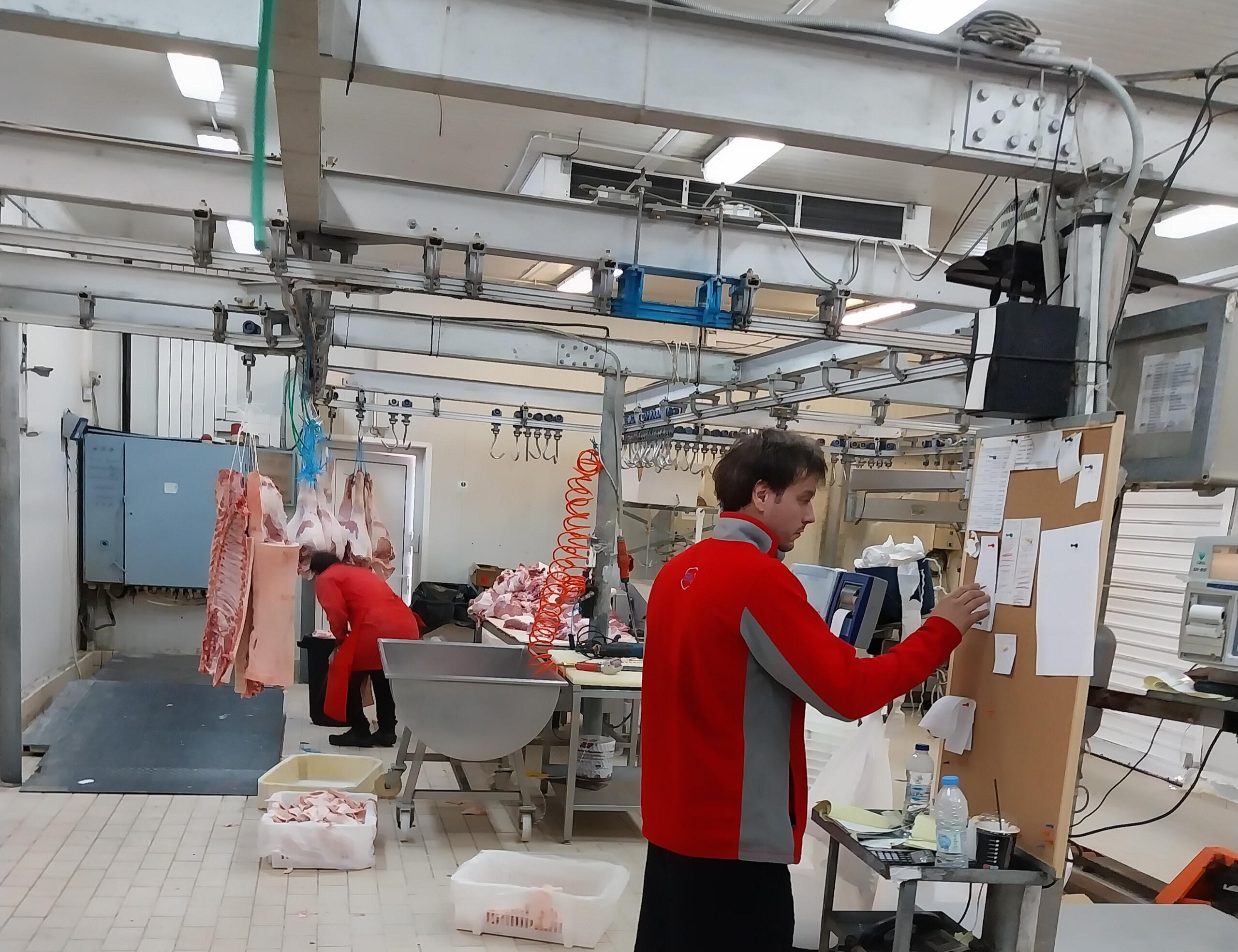 Χονδρικο εμποριο χοιρινού κρεατος, Αγορά Κρέατος. Καλές τιμές- Άριστη ποιότητα