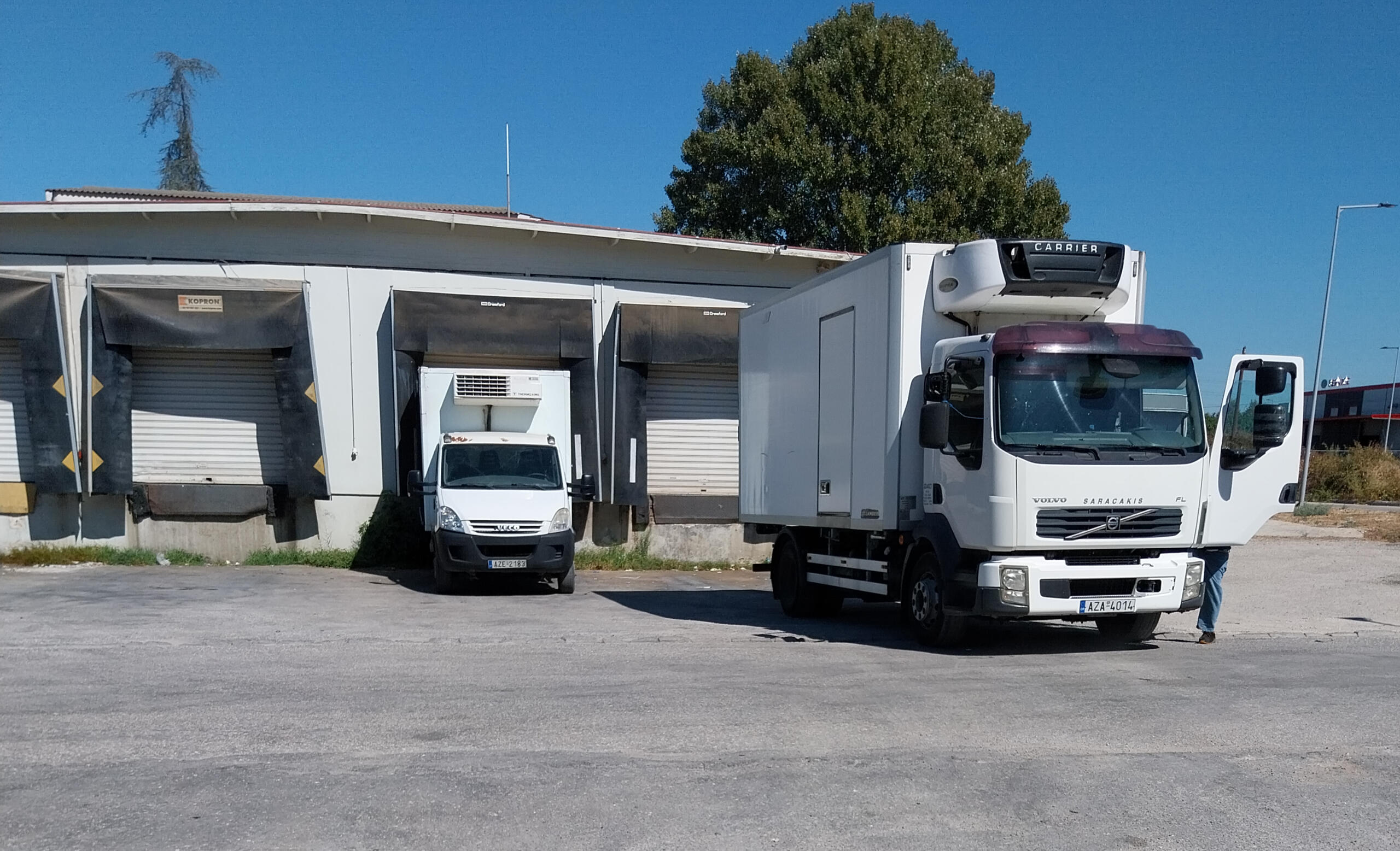 Χονδρικο εμποριο χοιρινού κρεατος, Αγορά Κρέατος. Καλές τιμές- Άριστη ποιότητα